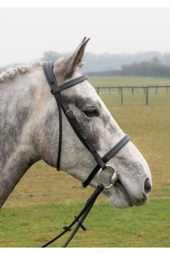 Comfort narrow flat padded bridle