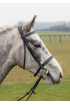 Comfort narrow flat padded bridle