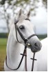 Build A Premier Flat Padded Havana Bridle