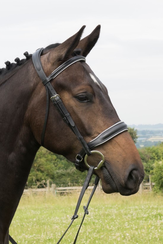 Half price EB Crank Bridle