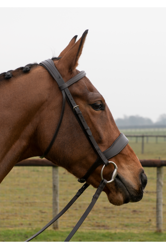 Build A Premier Flat Padded Havana Bridle