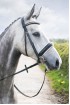 EB English Dressage Crank Bridle